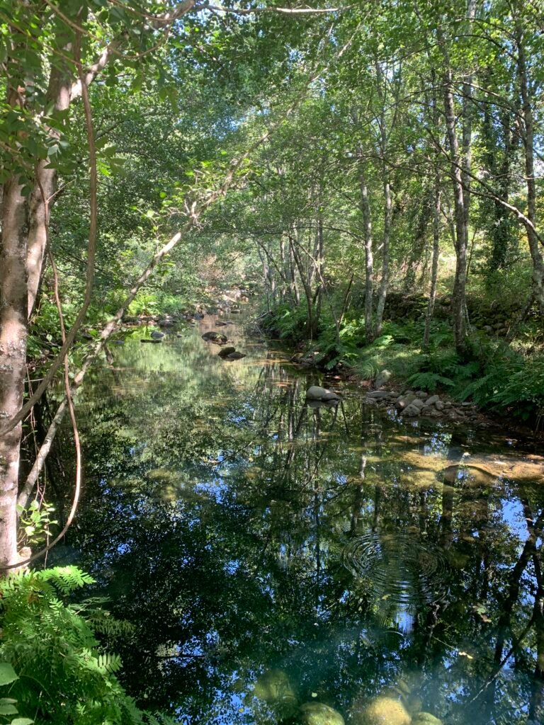 Rio Póio - Alvite - Cerva Camp